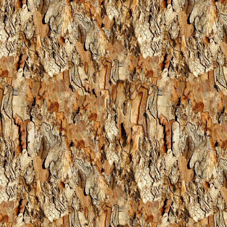 Eucalyptus Bark 23