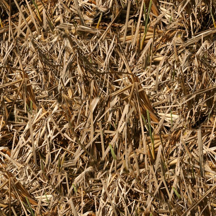 Everglades Camouflage 24