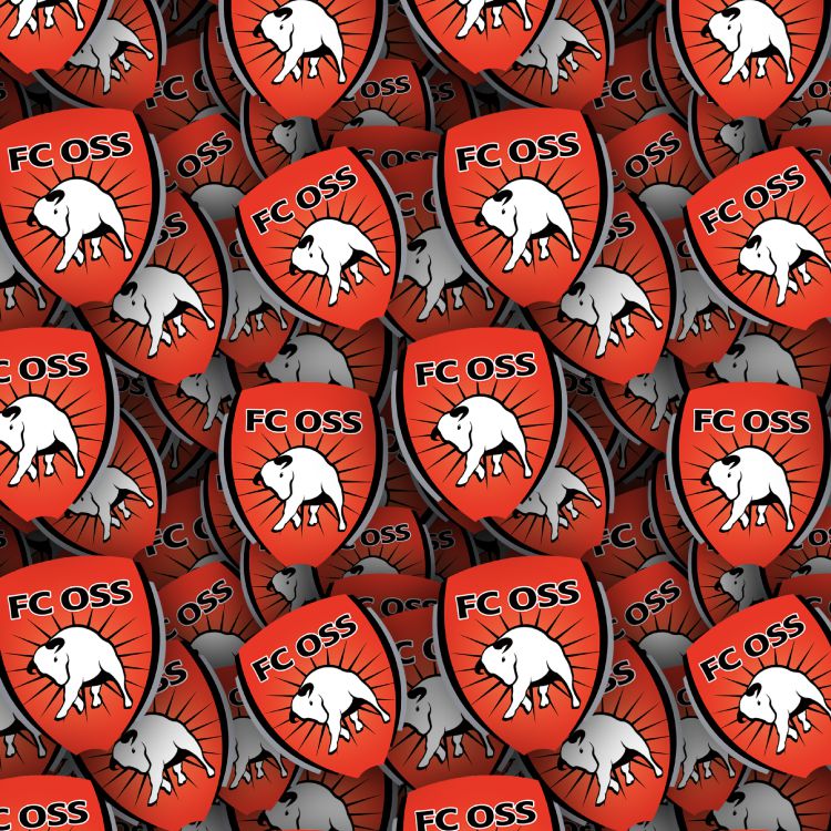FC Oss
