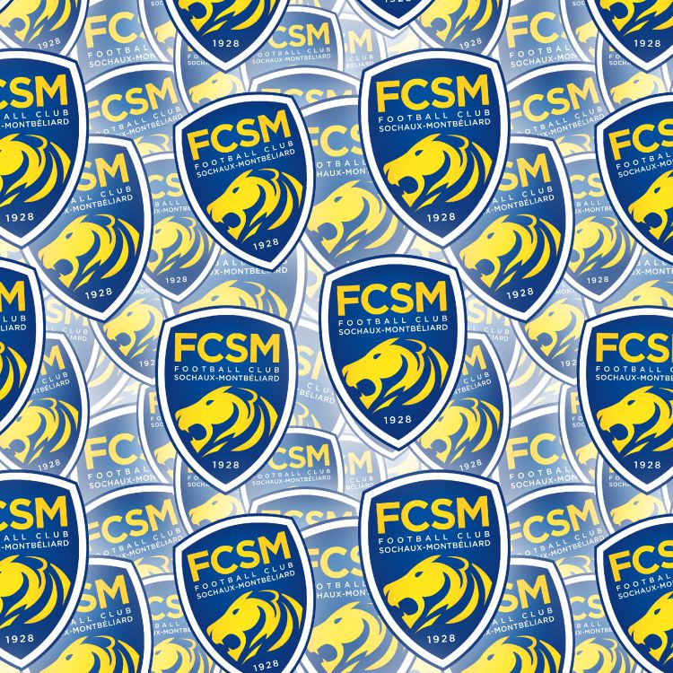 FC Sochaux-Montbeliard