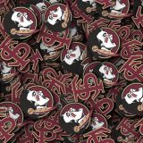 FSU-Seminoles-22-thumb