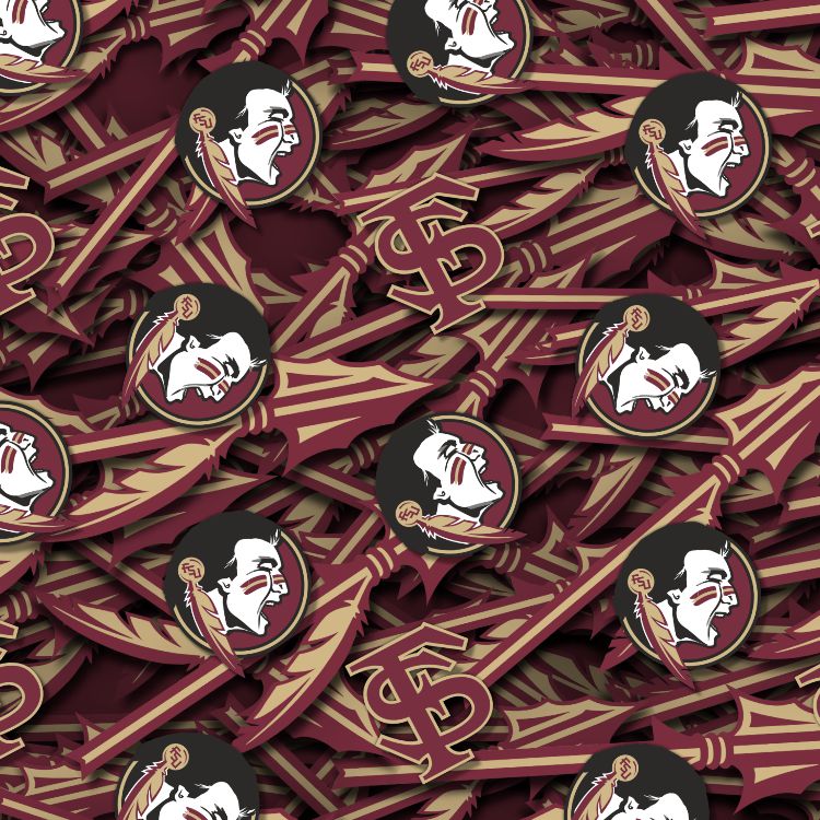 FSU Seminoles 23