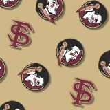 FSU-Seminoles-24-thumb