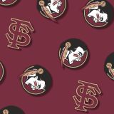 FSU-Seminoles-25-thumb