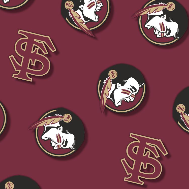 FSU Seminoles 25