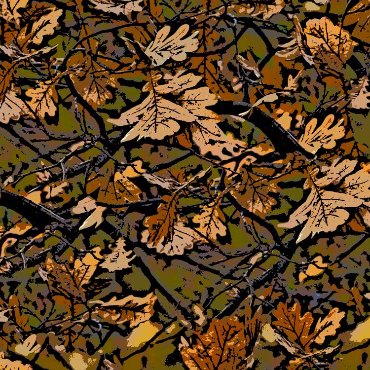 Fall Branch 23 Camouflage