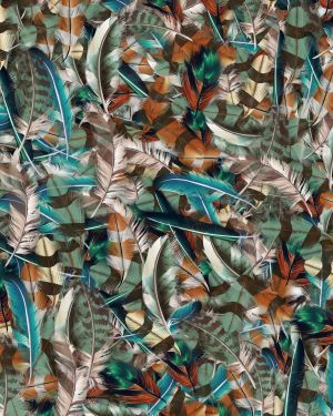 Feathers 30