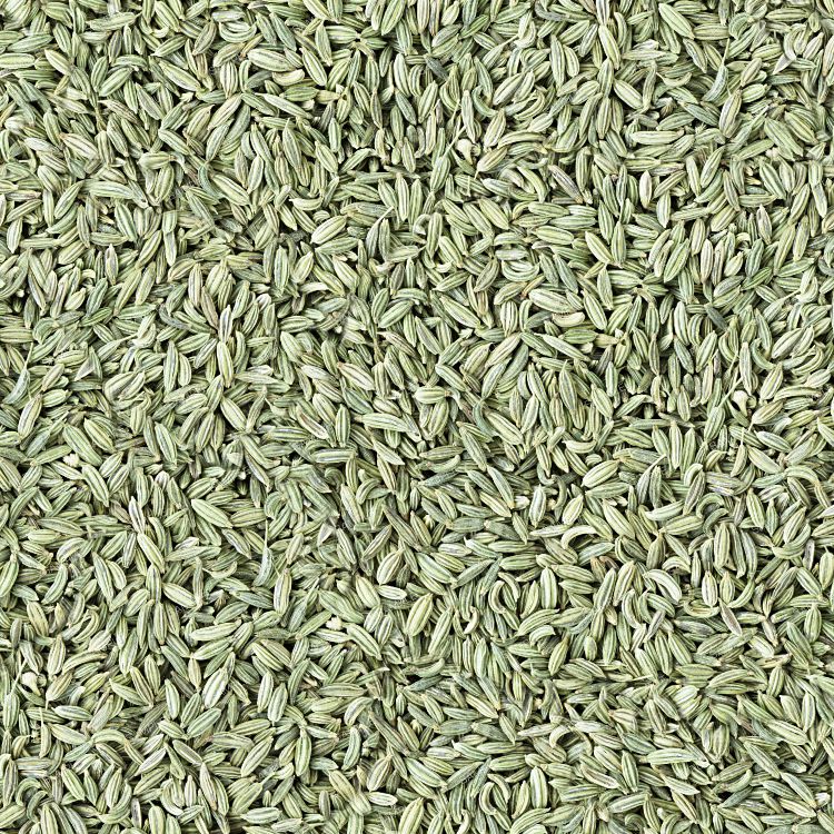 Fennel Seeds