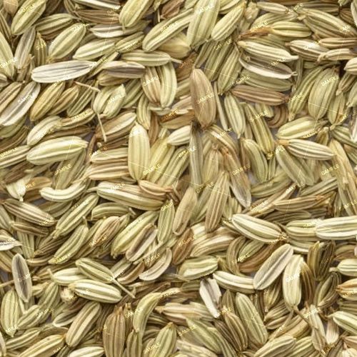 Fennel Seeds 22