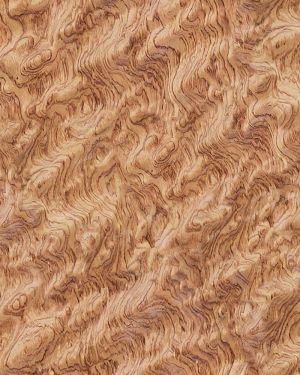 Figured Maple