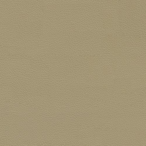 Fine Grained Tan Leather