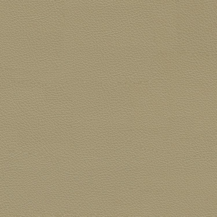 Fine Grained Tan Leather