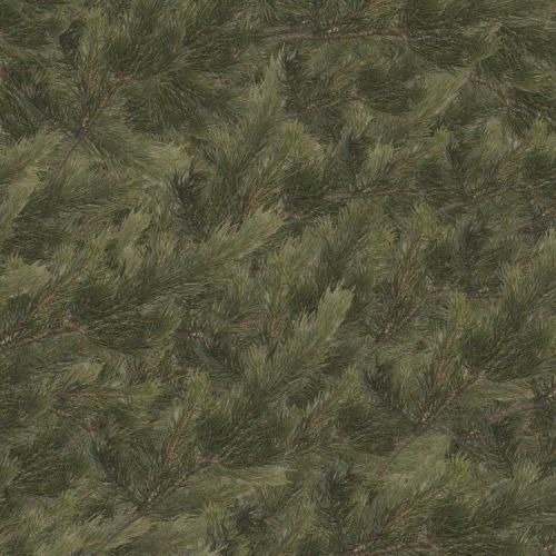 Fir Background