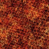 Fire-Dragon-Skin
