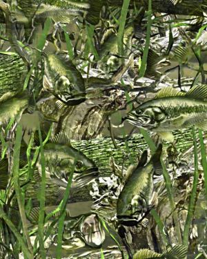 Fish Forest 24