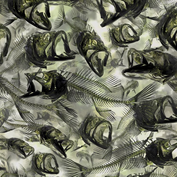 Fish Frenzy HexCamo 24