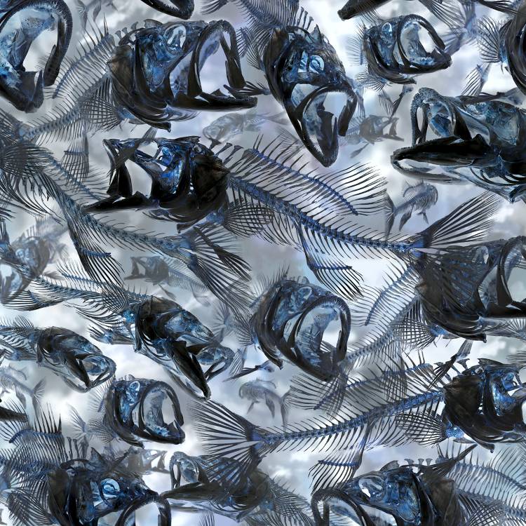Fish Frenzy HexCamo