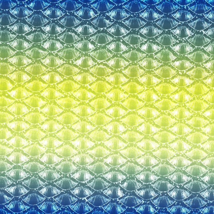 Fish Scales 44