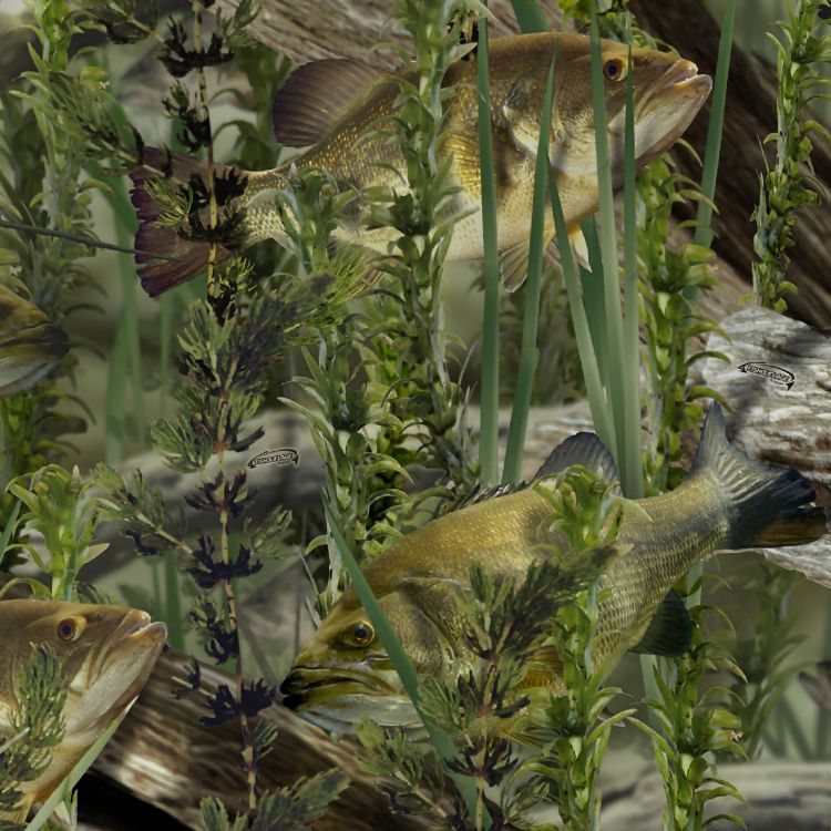 Fishoflage Bass Camouflage
