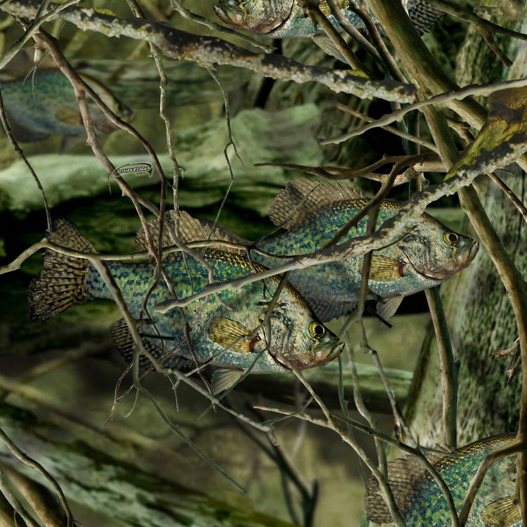 Fishoflage Crappie Camouflage