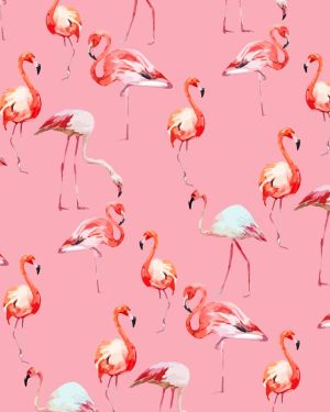 Flamingos 23