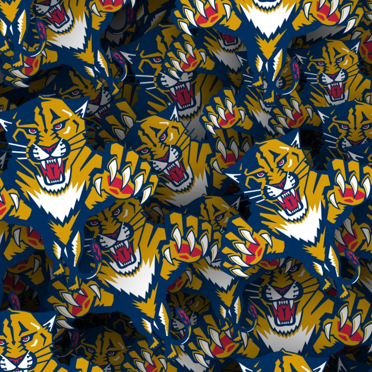 Florida Panthers 22