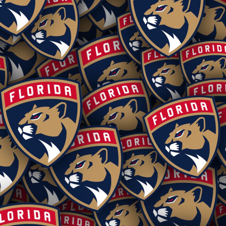 Florida Panthers 25