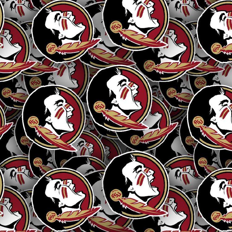 Florida State University Seminoles 23