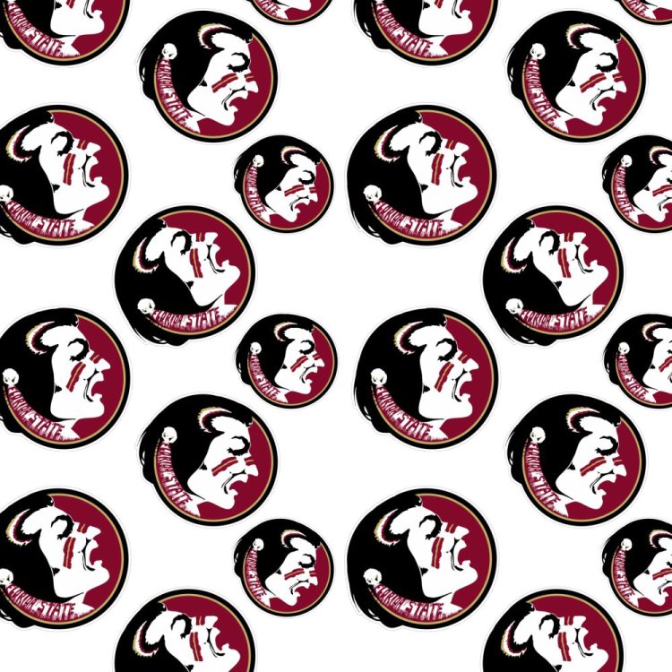Florida State University Seminoles 24
