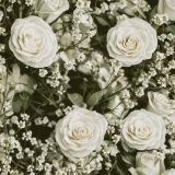 Flower-Garden-24