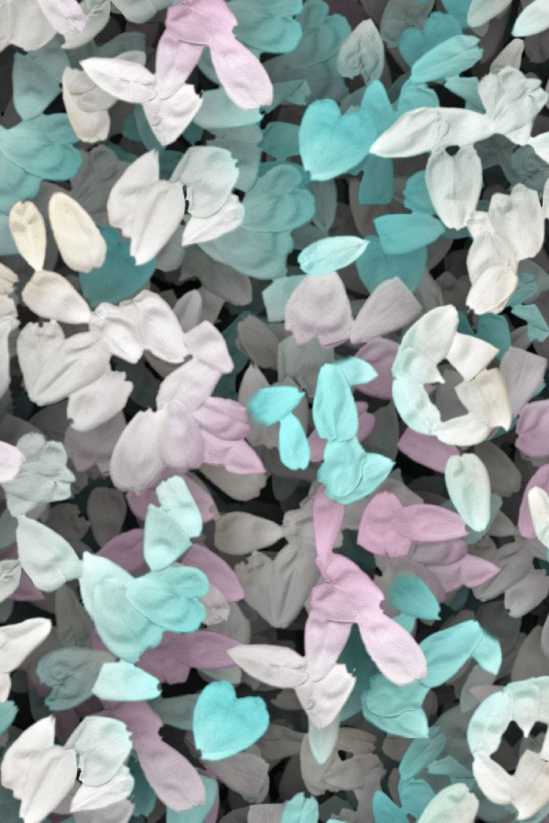 Flower Petals 25