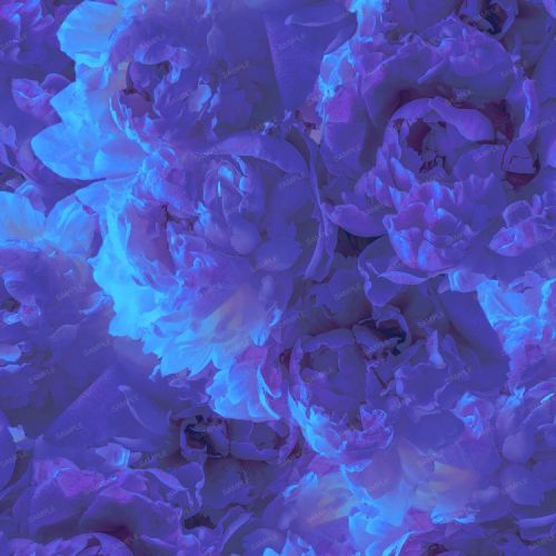 Flowers 73