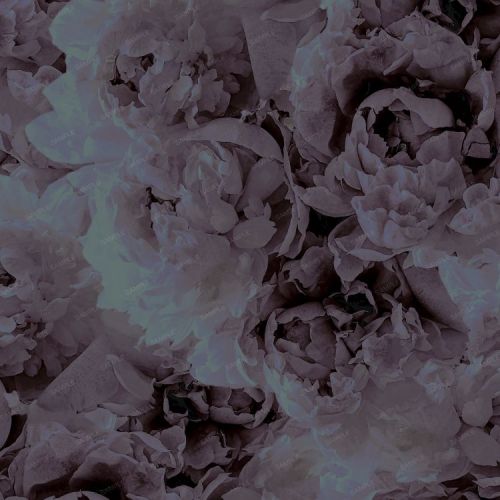 Flowers 74
