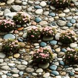 Flowers-in-a-Rock-Garden-1.jpg