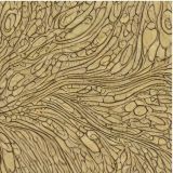 Flowing-Woodgrain-22