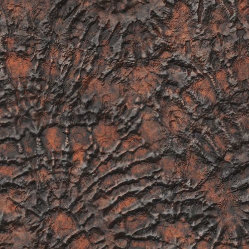 Fossilized Tracks