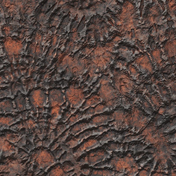 Fossilized Tracks