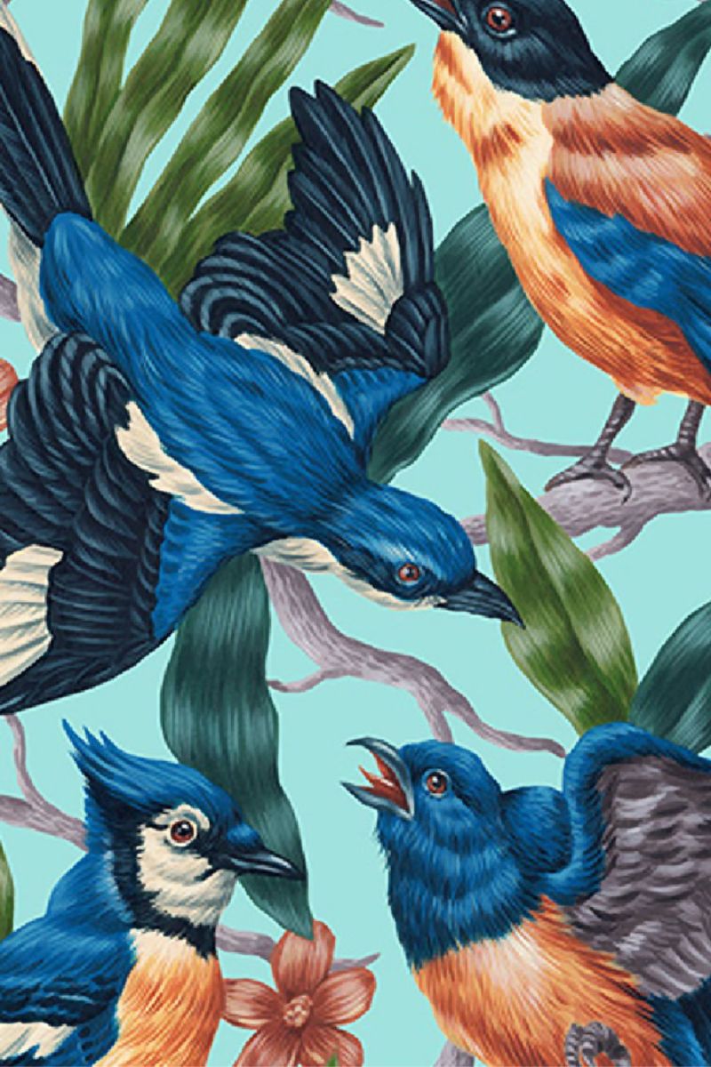 Four Bird Fight