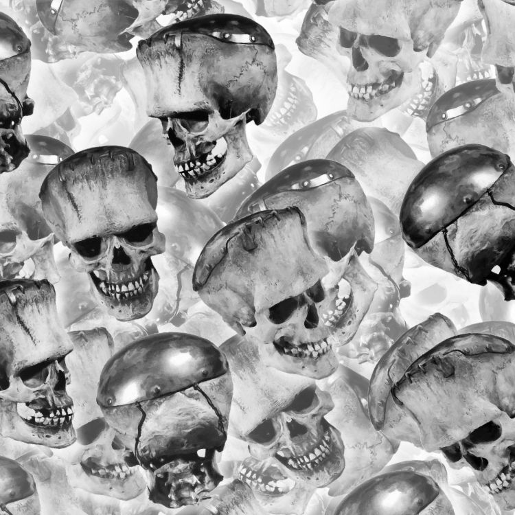 Frankenstein Skulls 23