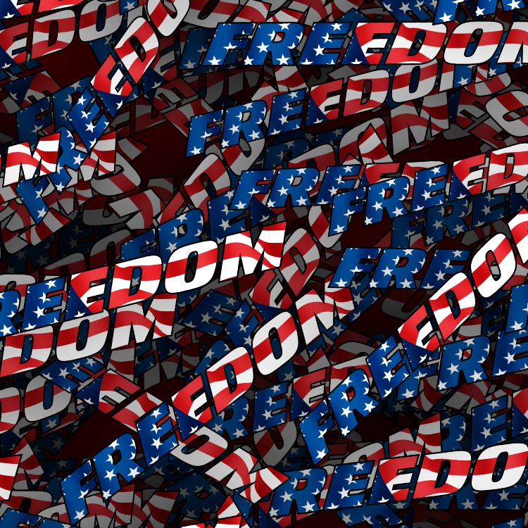 Freedom 32