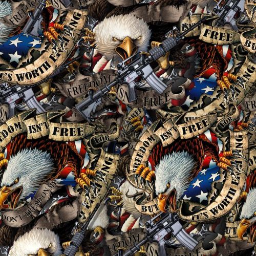 Freedom Isn’t Free 24