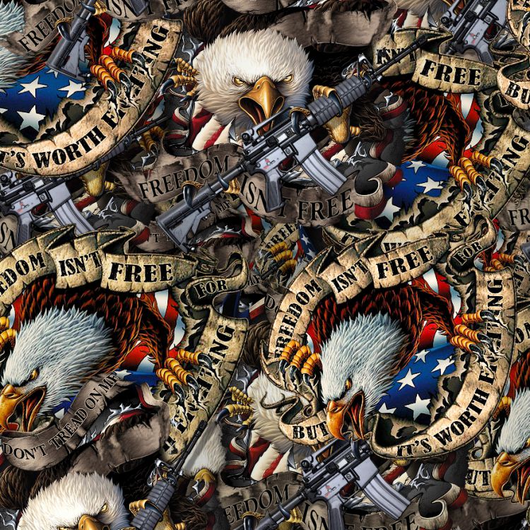 Freedom Isn't Free 24