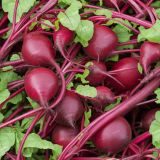 Fresh-Beets