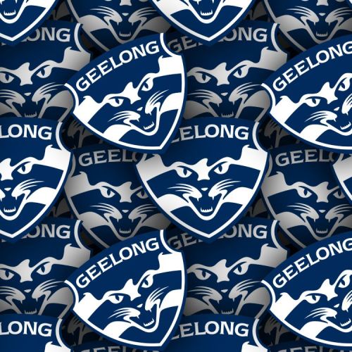 Geelong Football Club 22