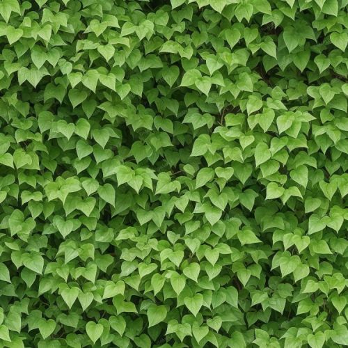 Generic Leaf Wall