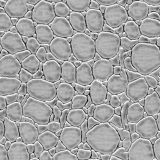 Generic-Reptile-Skin-Gray-thumb