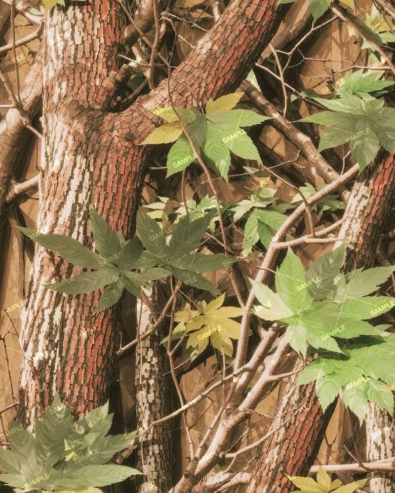 Generic Tree 11 Camouflage