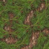 Georgia-Pine-Camo-thumb