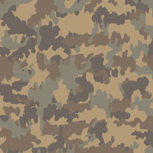 German Flecktarn 22 Camouflage