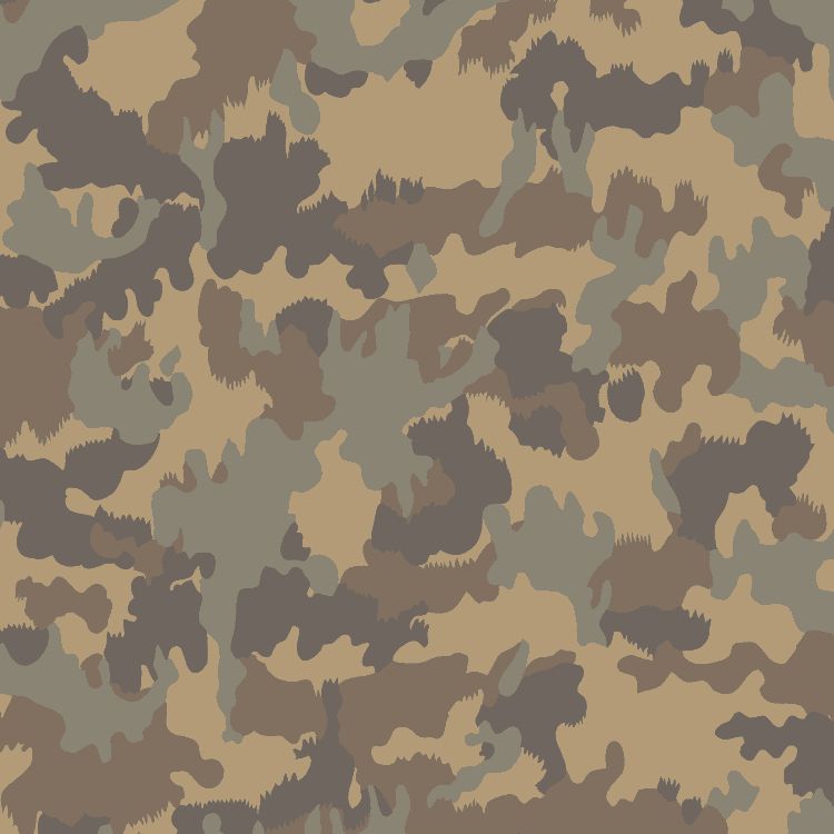German Flecktarn 22 Camouflage